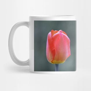 Tulip Mug